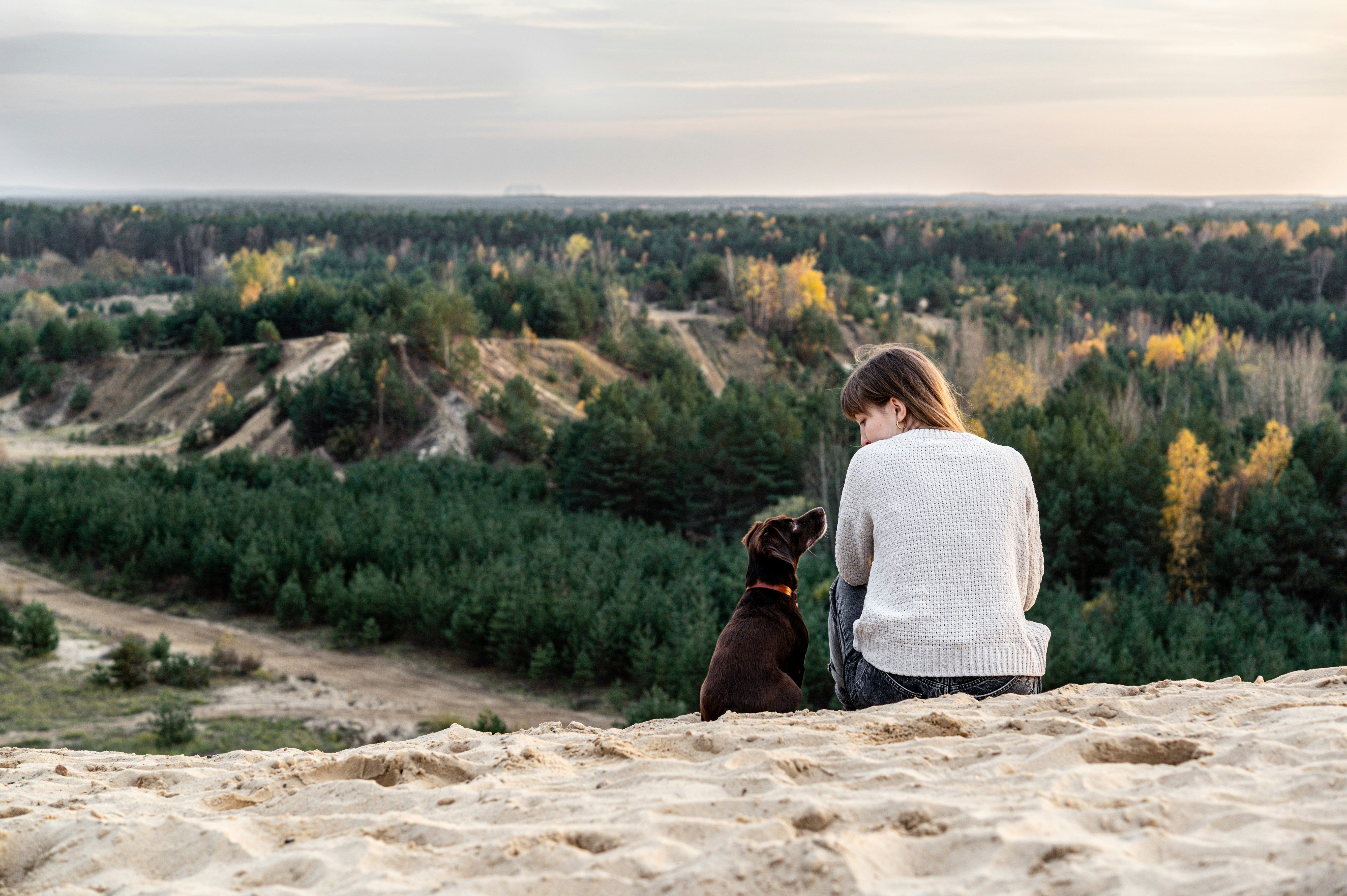 Tails of Love: Finding Maxwell