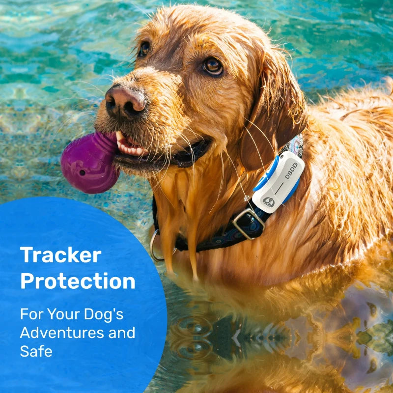 (NEW)GPS Tracker for Dogs(No Subscription Fees)