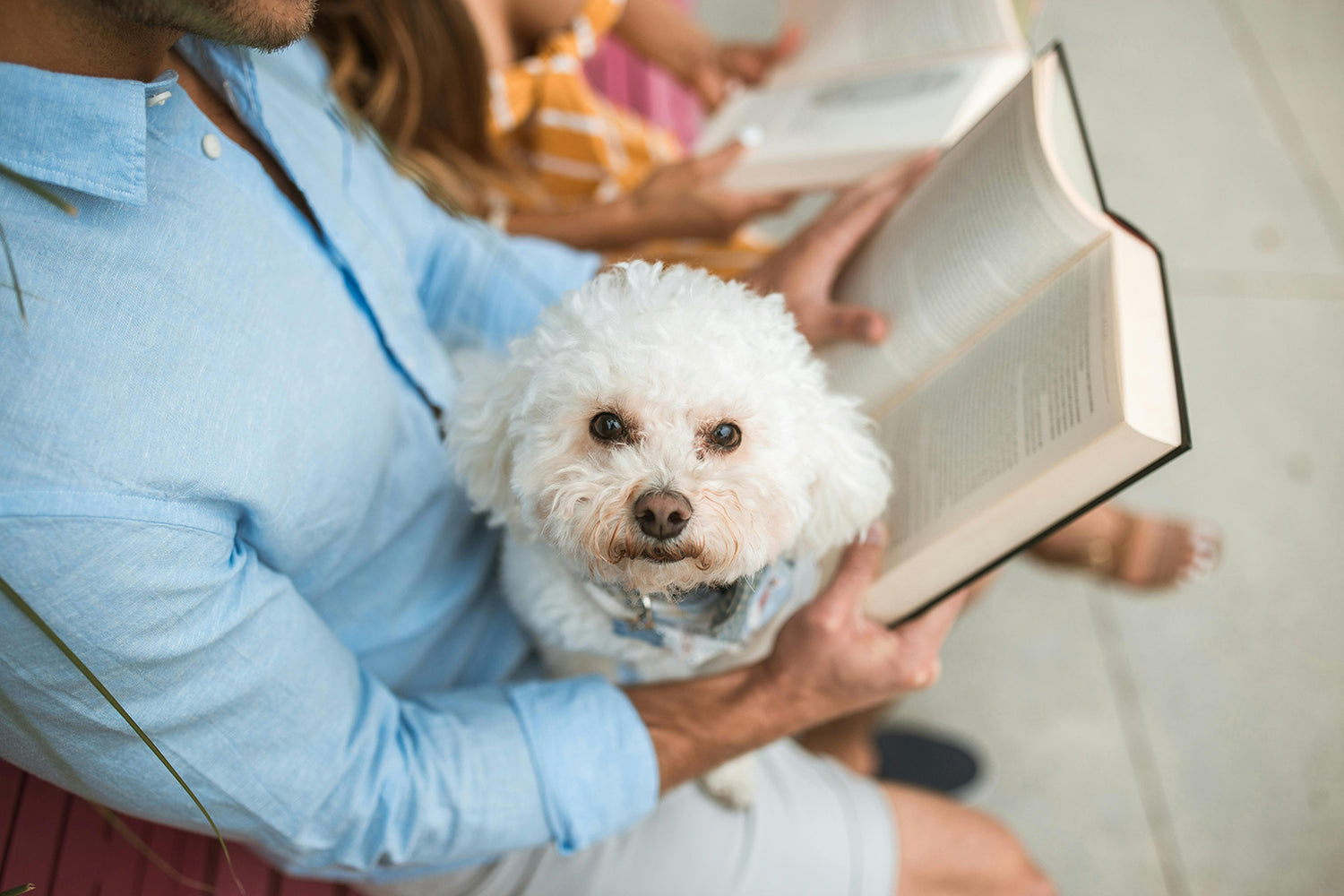 Pay attention to the mental health of dogs