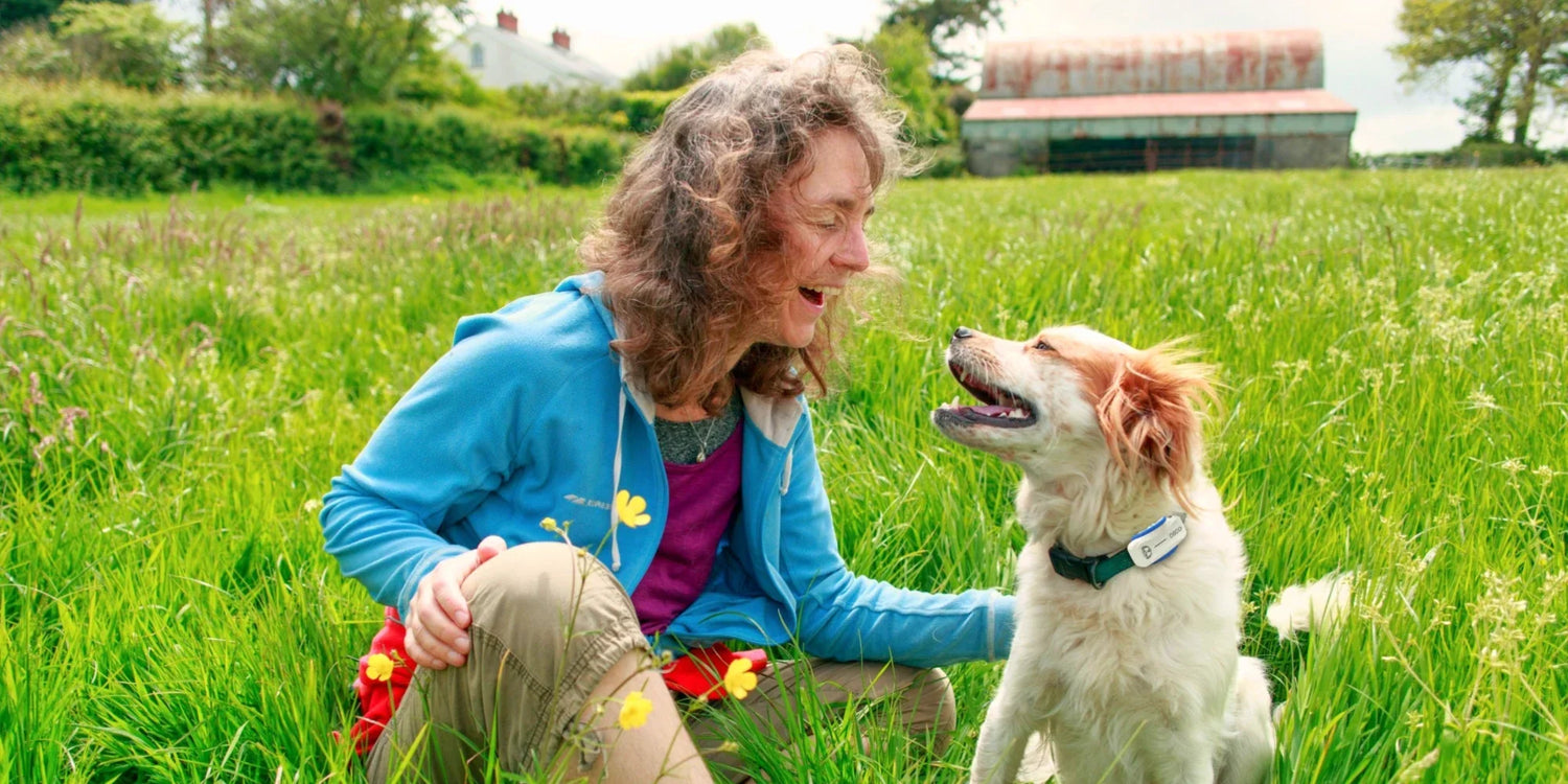 A Tiny Tracker That Watches Over Your Pet Every Day