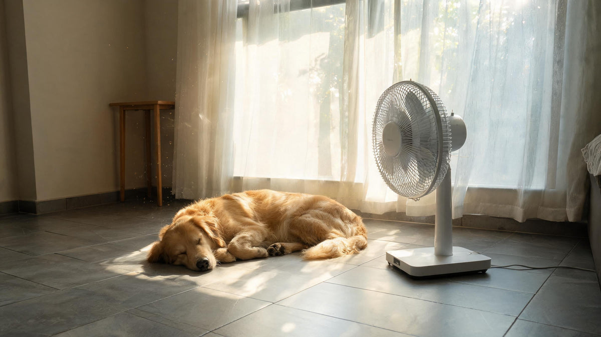Why Dogs Sleep Differently in Summer and How Pet Trackers Help You Spot Changes