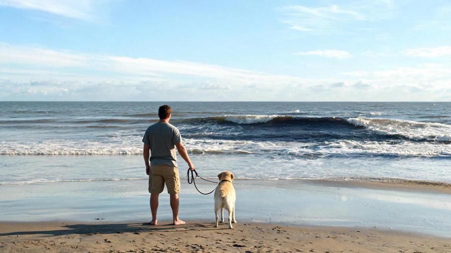 Owner checking ocean conditions before letting a dog swim