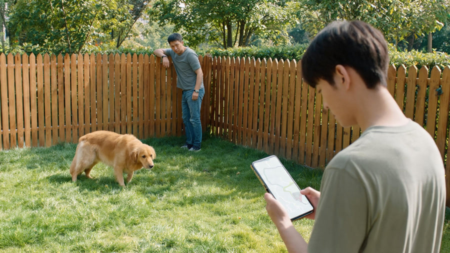 How to Temporarily Adjust Dog GPS Tracker Safe-Zone Settings When Your Dog Stays With a Friend or at a Pet Hotel