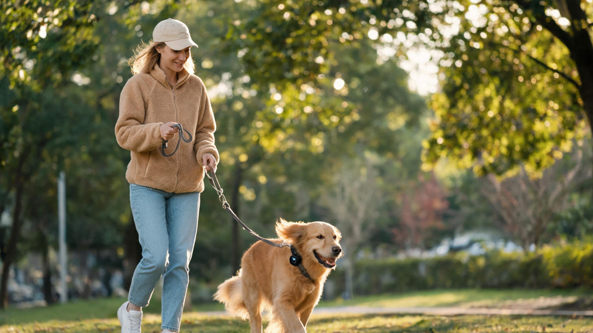 Why City Pet Owners Are Relying More on Tracking Tech for Safer Weekend Adventures