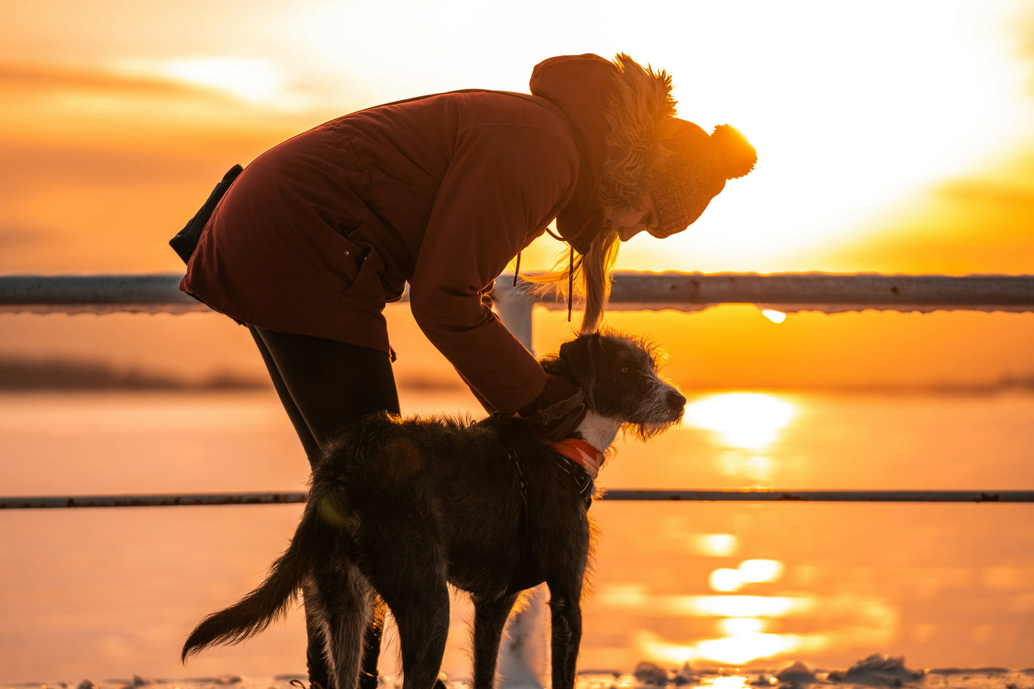 Life Lessons We Learn from Our Dogs