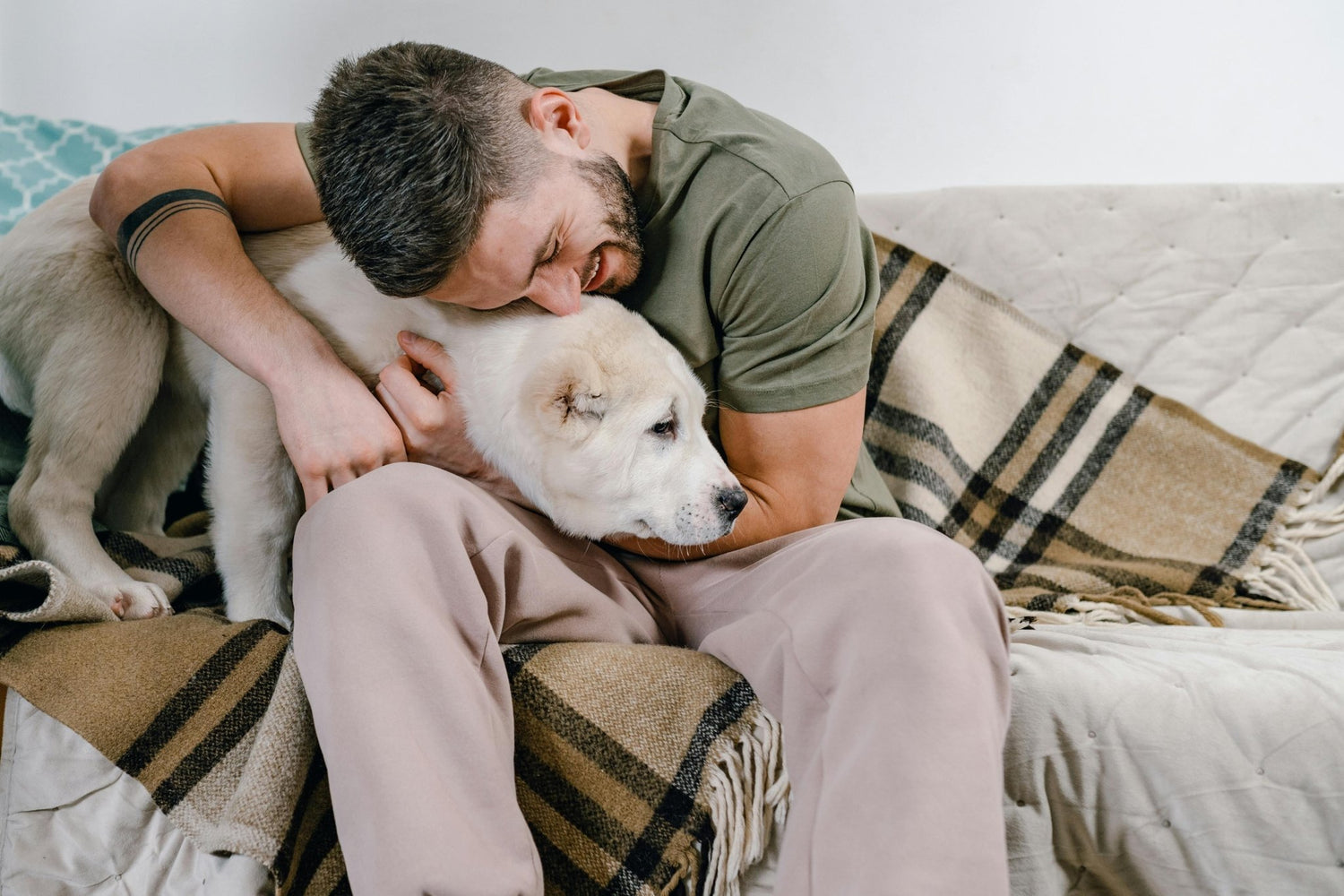 Celebrating Father’s Day with Your Furry Friend - DBDD