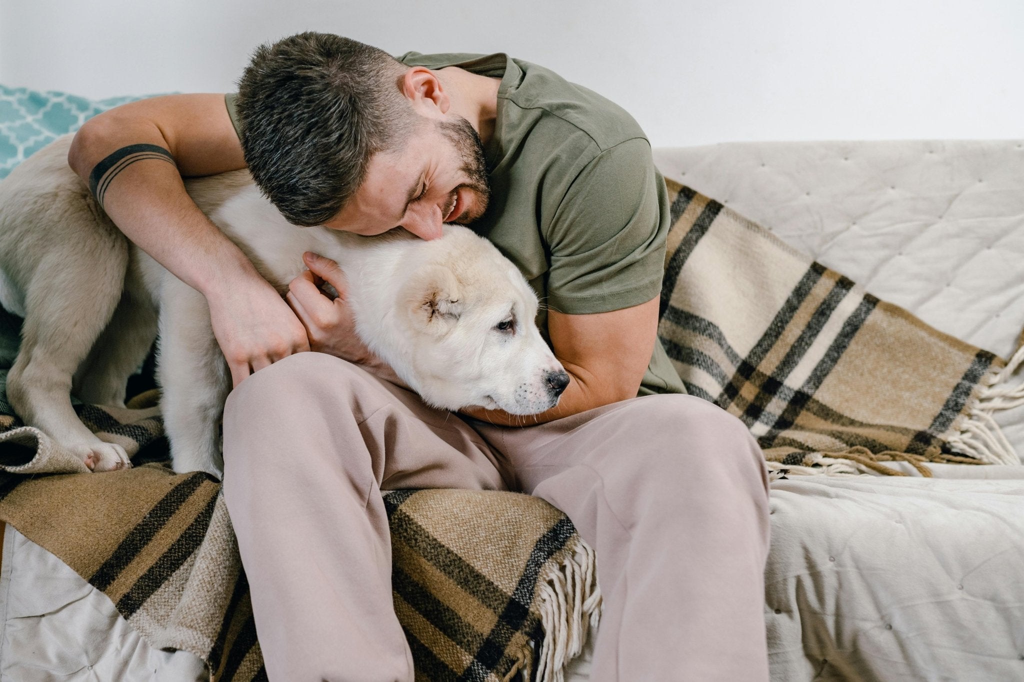 Celebrating Father’s Day with Your Furry Friend - DBDD