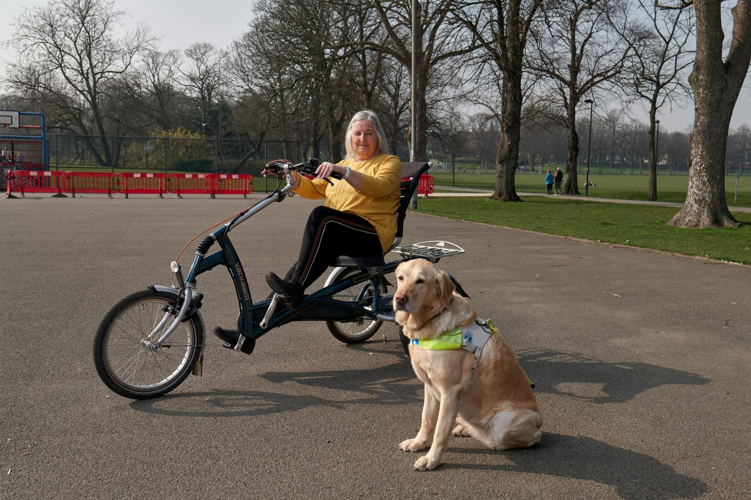 Celebrating International Guide Dog Day: Honoring our Furry Heroes - DBDD