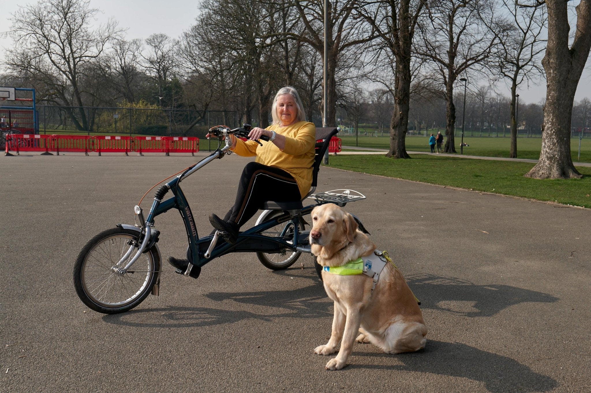 Celebrating International Guide Dog Day: Honoring our Furry Heroes - DBDD
