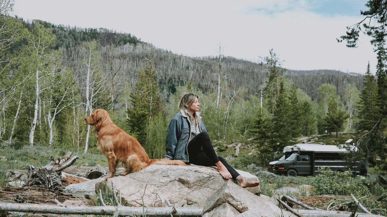 Tractive GPS is Essential for Sporty Dog Parents - DBDD