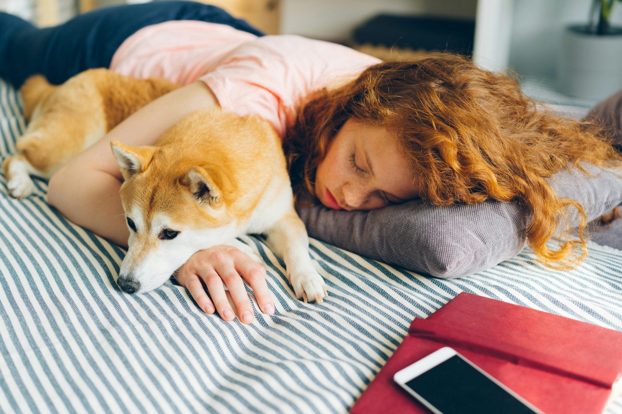 What Are the Main Signs of Illness in My Dog? - DBDD