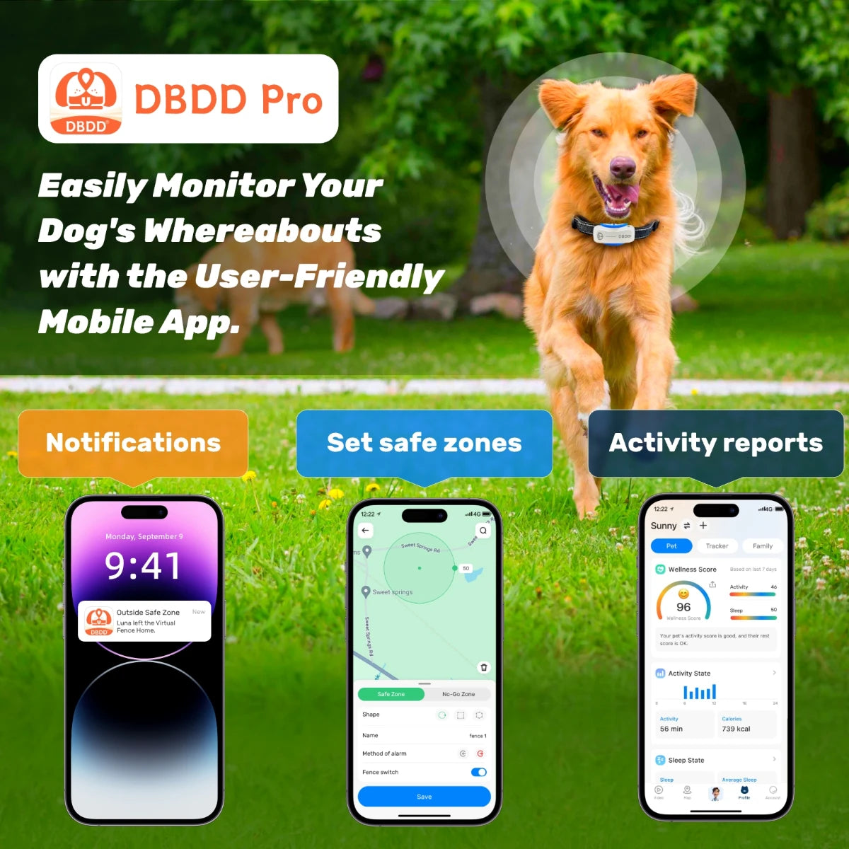 DBDD GPS Tracker for Dogs（Limited-time offer）
