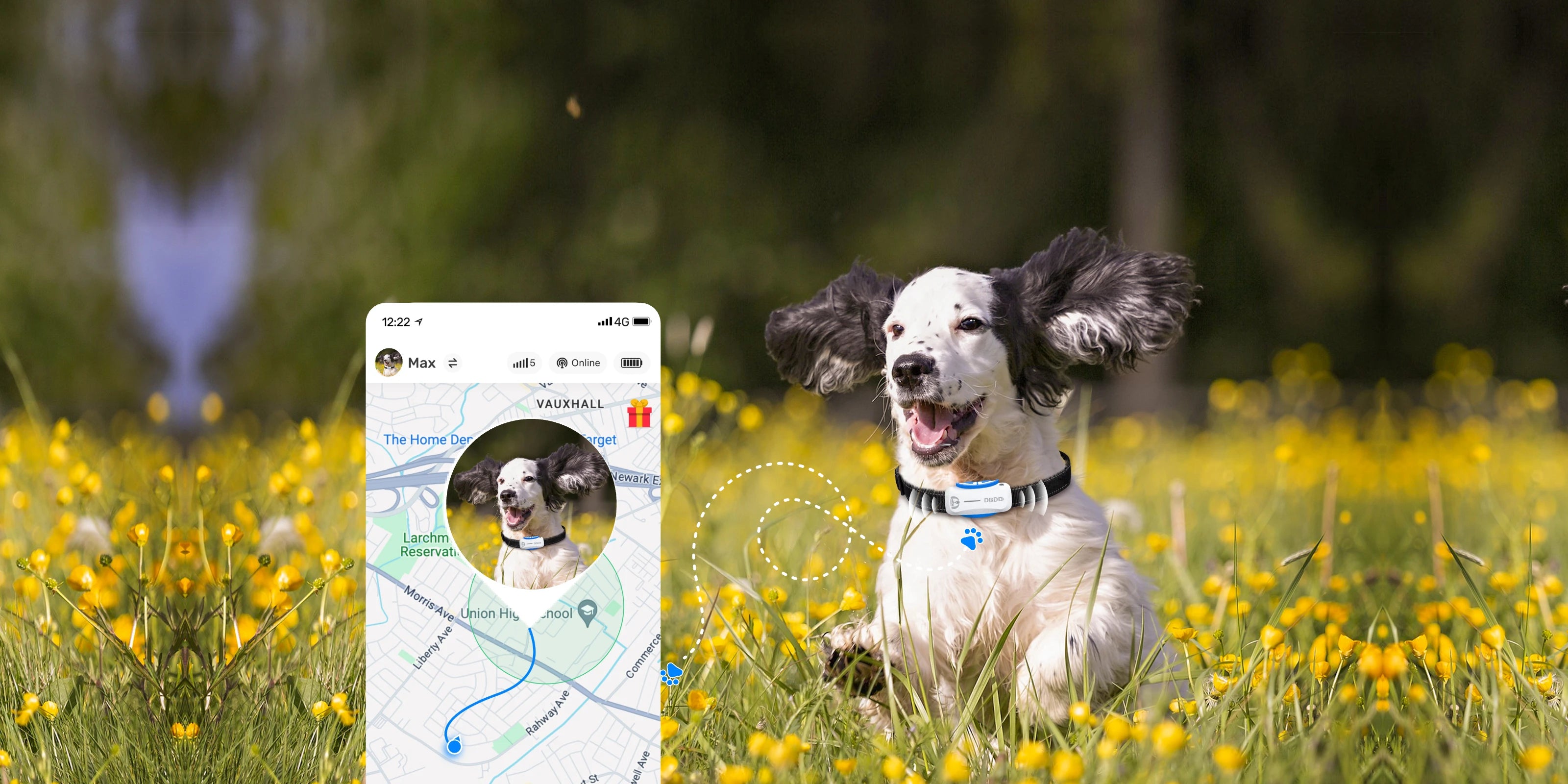 gps for dog tracking