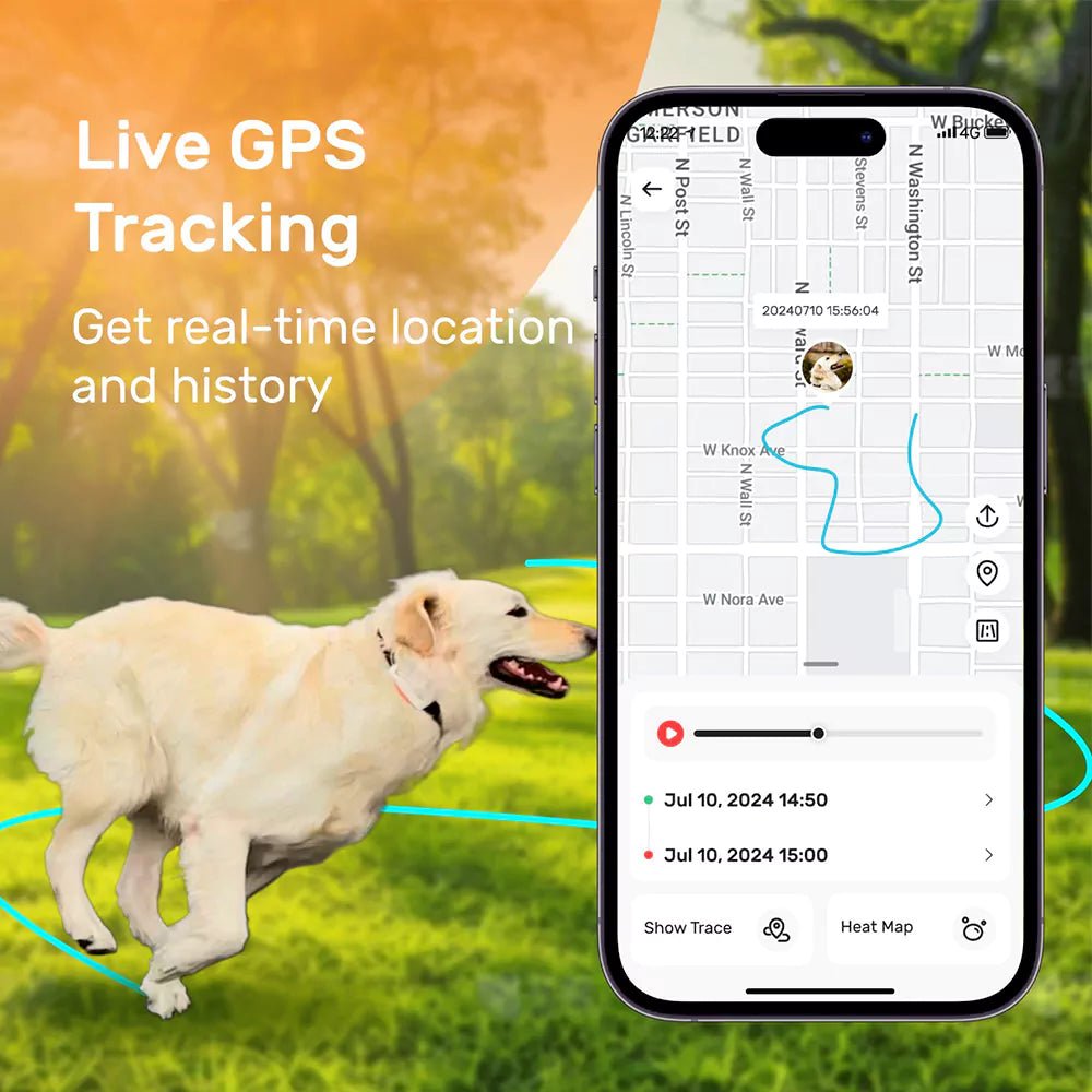 DBDD GPS Tracker for Dogs（D1） - DBDD
