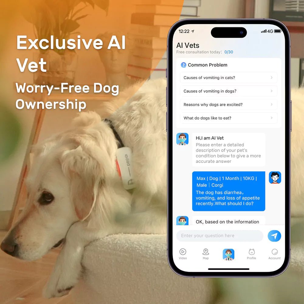 DBDD GPS Tracker for Dogs（D1） - DBDD