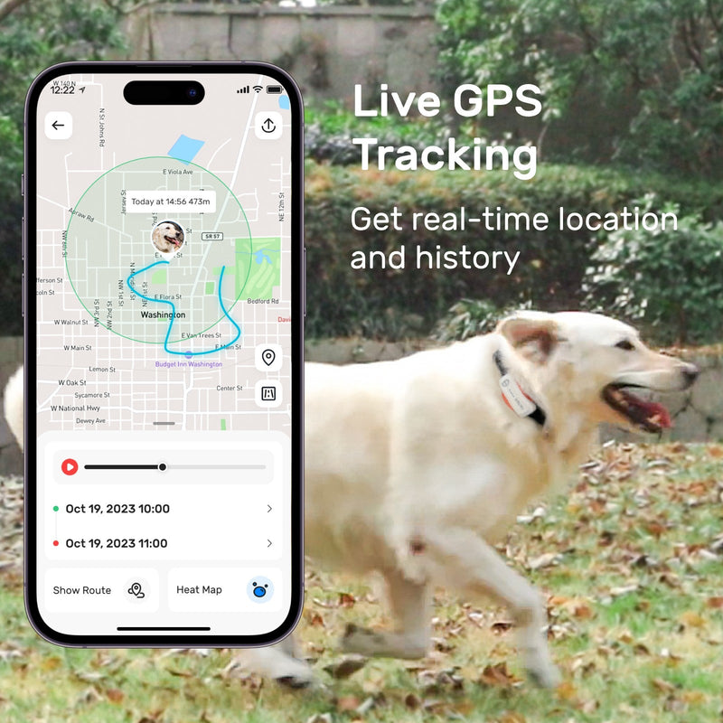 How Can Gps Tracking Collars Keep Your Active Dog Safe? 2 Gps Tracking Collars For Dogs