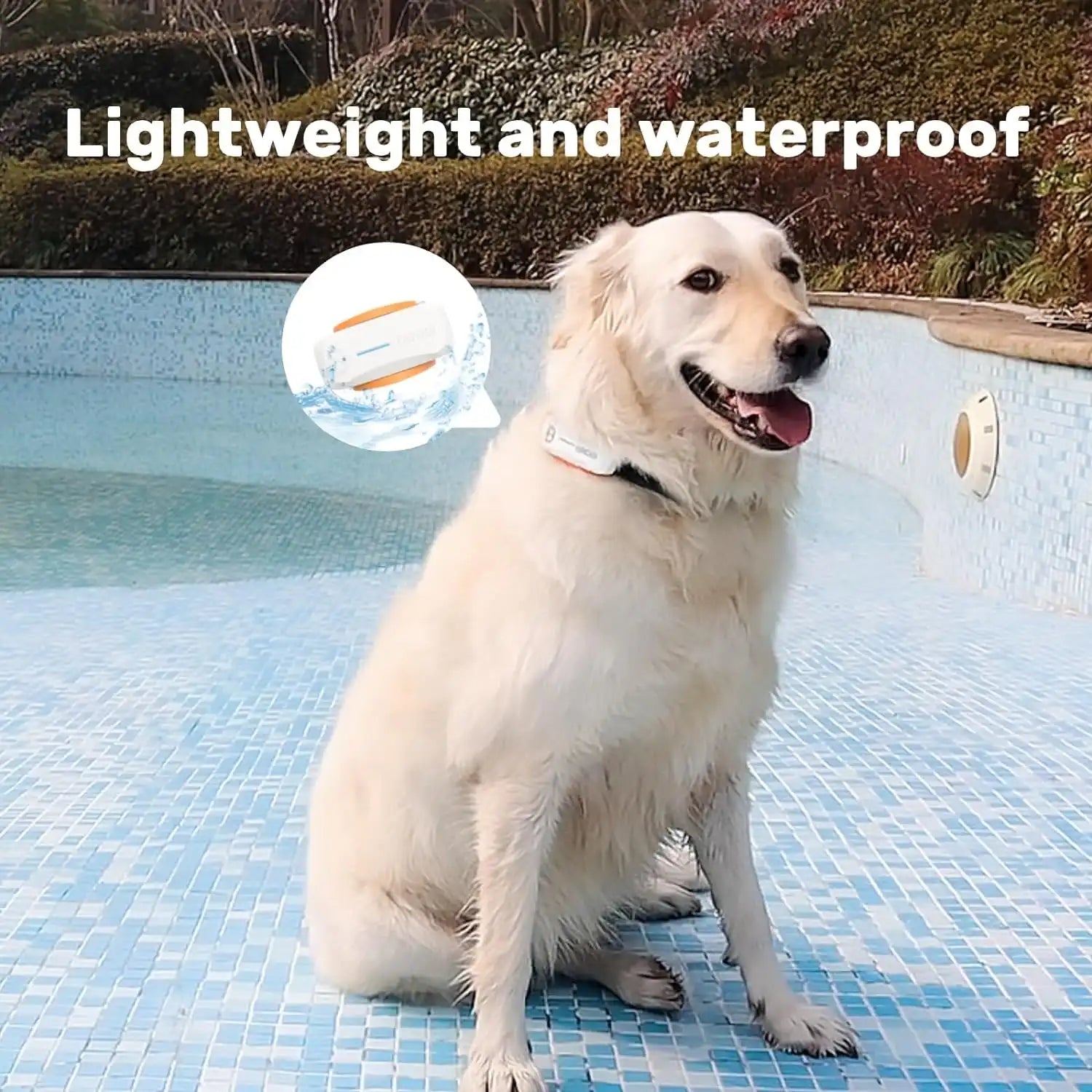 DBDD GPS Tracker for Dogs（PRO） - DBDD